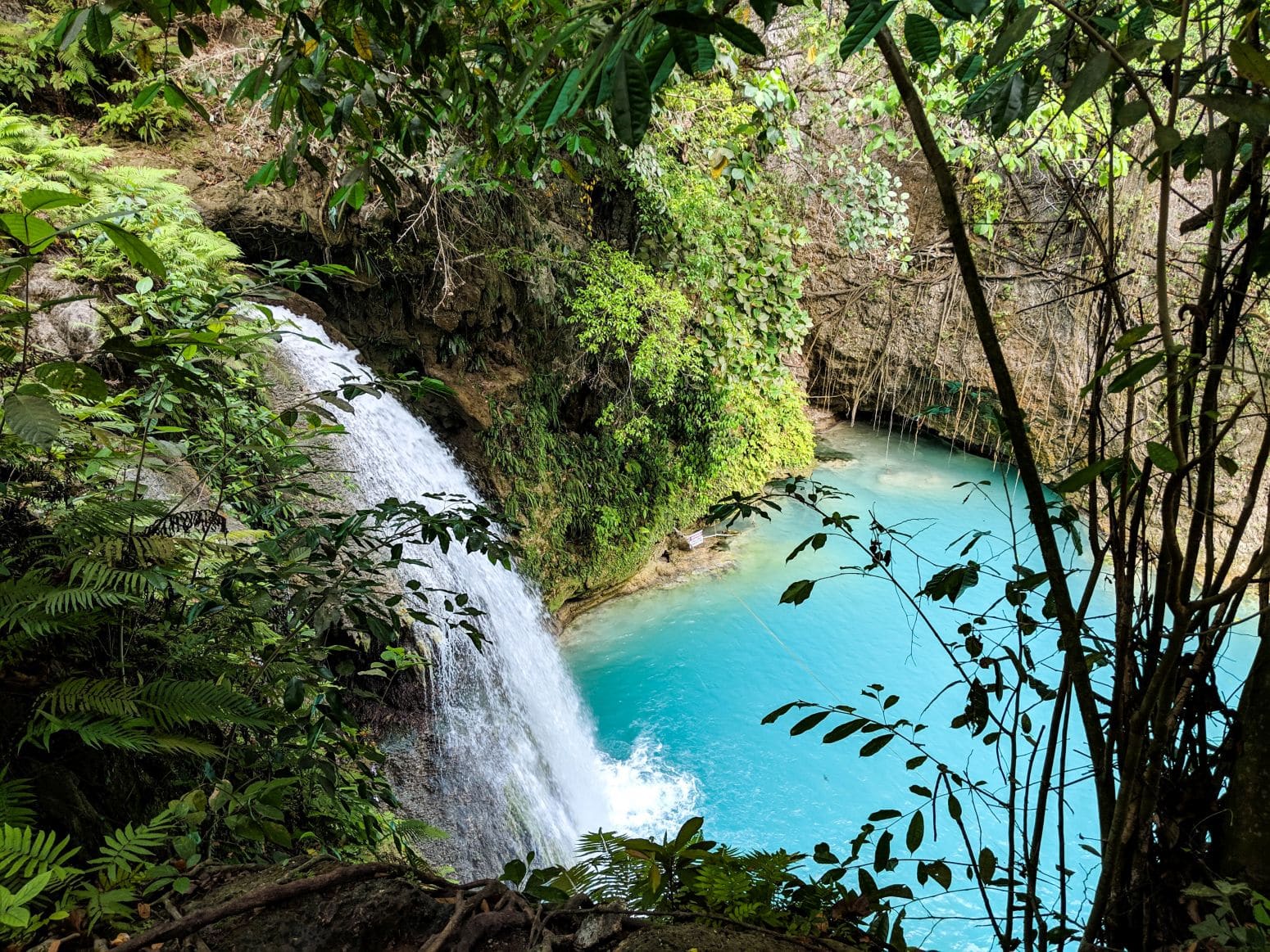 Kawasan Waterfalls The Complete Honest Guide To Kawasan Falls Faramagan